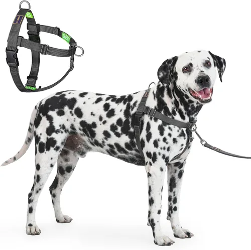 Vista 7 de Freedom - Arnés para perro sin tirones, fácil de caminar, deja de tirar con dos anillos en D de acero inoxidable, cómodo, etiquetas de instrucciones