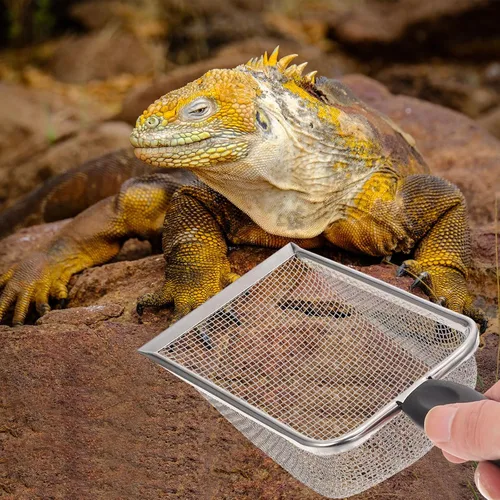 Vista 3 de Totority Cuchara de arena de metal para gatos, pala profunda de tamizado rápido con mango cómodo, herramienta de limpieza fácil para mascotas