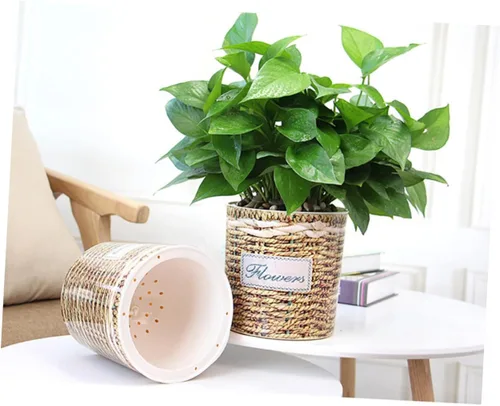 Vista 6 de MERRYHAPY 2 latas de riego para plantas de interior, contenedor transparente, violetas africanas, maceta tejida, maceta de riego automático, macetas