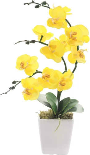 Vista 14 de Arreglos de macetas de plantas de flores de orquídea Phalaenopsis de seda artificial de 15 pulgadas de alto (verde manzana)