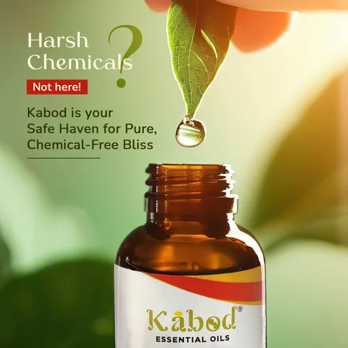 Vista 5 de Kabod Aceite esencial de manzana y canela, mezcla de aromaterapia para difusores, humidificadores, estufas de aroma, jabón y velas, aceite aromático