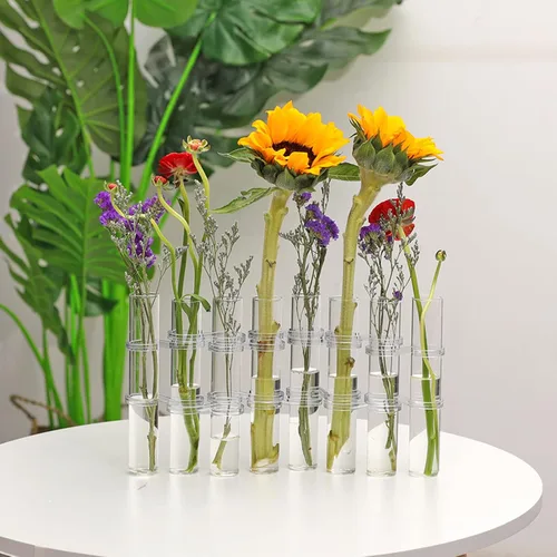 Vista 8 de DOITOOL Jarrón de tubo de ensayo, 8 piezas, tubo de ensayo de vidrio, terrario, florero de vidrio transparente, maceta decorativa de tubo de ensayo