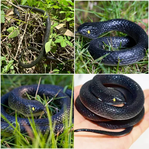 Vista 4 de 6 piezas de serpientes de goma grandes realistas de plástico falso, juguetes de serpiente para mantener a los pájaros alejados para accesorios