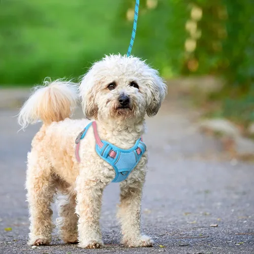 Vista 9 de BARKBAY Arnés para Perro Sin Tirones Talla Grande Arnés Reflectante para Perro con Clip Frontal y Asa de Control Fácil para Caminar Entrenar Correr