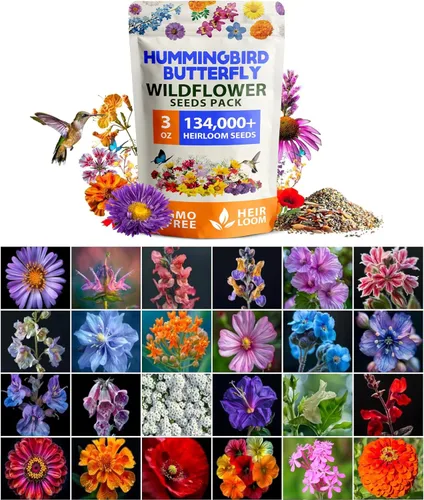 Vista 20 de HOME GROWN - 49 000 semillas de flores silvestres, mezcla a granel, 2 onzas, 21 variedades de mezcla de flores silvestres, para atraer abejas