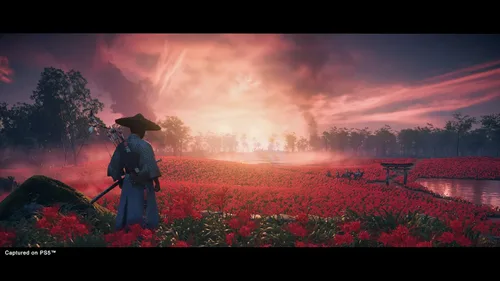 Vista 4 de Ghost of Tsushima Director's Cut (PS4)