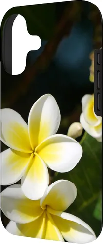 Vista 2 de Plumeria Flower Yellow Case for iPhone 17