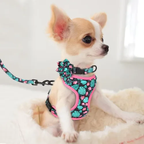 Vista 5 de Beirui Collares, arneses y correas lindas para perritas, juego de collar y correa ajustable con flores - Chaleco de malla suave para perritos y Verde