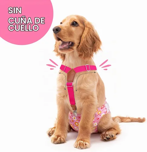 Vista 2 de Pet Soft Tirantes de pañales para perro hembra, 2 piezas, tirantes para falda de perro, vestido, Negro, rosa, marrón, burdeos