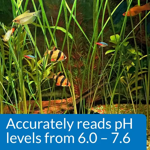 Vista 7 de API Kit de prueba de pH para acuario de agua dulce de 250 pruebas, juego de 4 piezas