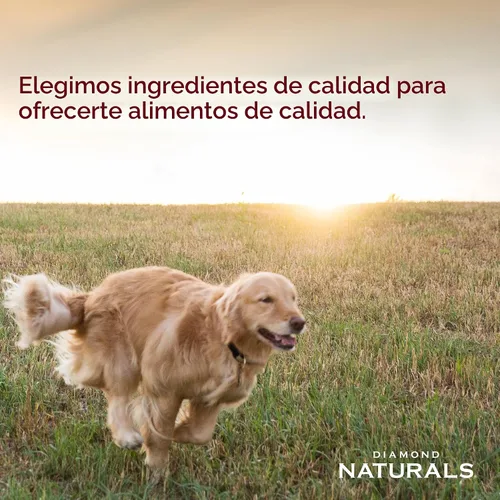 Vista 4 de Diamond Naturals Cena de carne de res para perro 12/13.2oz