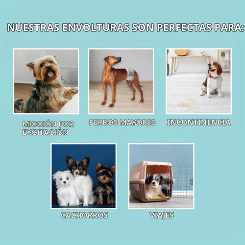 Vista 5 de Simple Solution Pañales Desechables Envolventes para Perros Machos, True Fit, Absorbentes, A Prueba de Fugas con Indicador de Humedad, Pañal