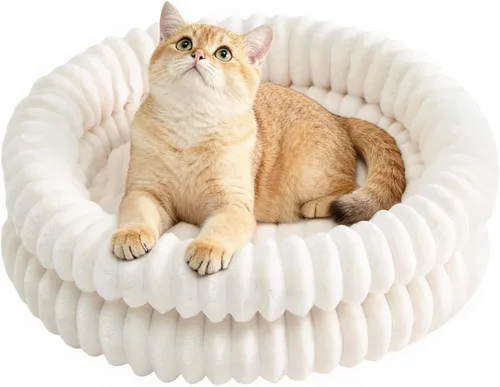 Vista 11 de Cama para gatos, bonita cama para gatos de interior y perros Gris