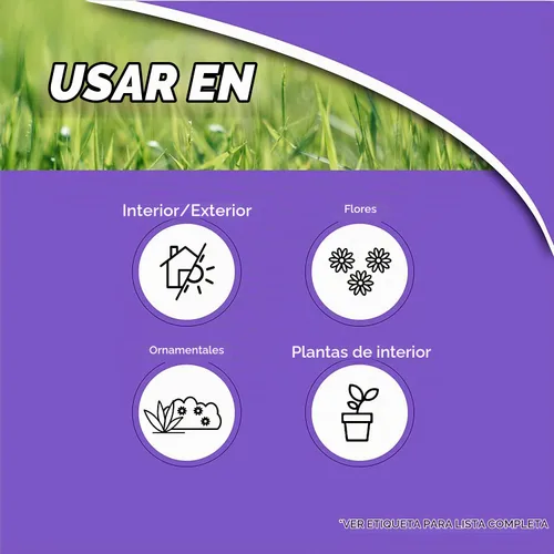 Vista 5 de Bonide (BND951 - Control sistémico de insectos para plantas domésticas, insecticida imidacloprid 0.22% (8 onzas), blanco (4)