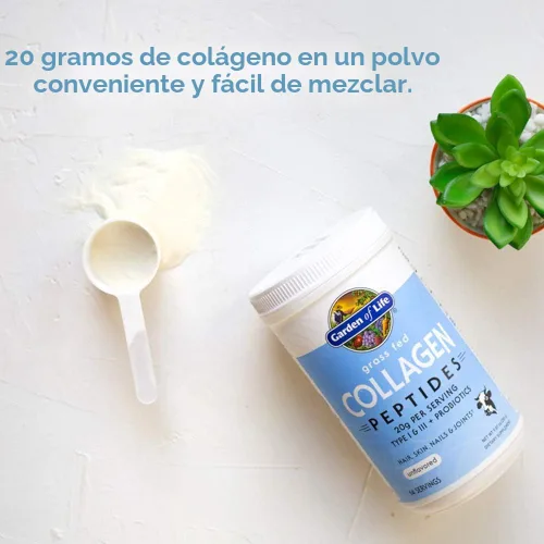 Vista 8 de Garden of Life Péptidos de Colágeno en Polvo de Ganado Alimentado con Pasto Sin Sabor, Polvo de Colágeno para Mujeres y Hombres, Cabello, Piel