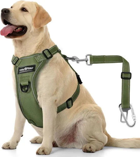 Vista 19 de VavoPaw cinturón de seguridad para perro, arnés de coche con hebilla ajustable para perro, cinturón de seguridad de nailon para mascotas, resistente
