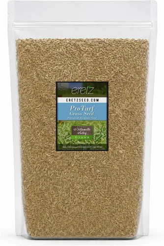 Vista 5 de Semillas de césped perenne ProTurf de Eretz (454g) - ¡Elija el tamaño! Semillas de césped premium cultivadas en el Valle de Willamette, Oregon