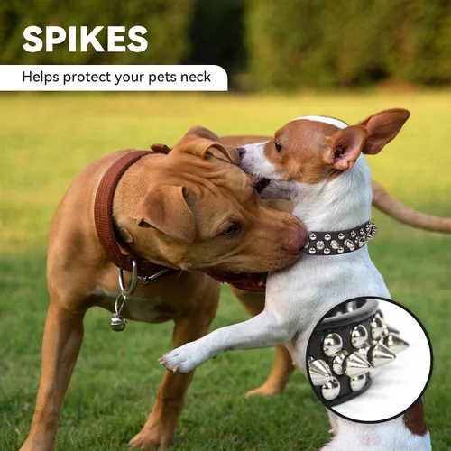 Vista 3 de Collar de perro y gato negro con púas pequeñas para perros pequeños y medianos machos – Collar ajustable con tachuelas – Collar de cuero punk