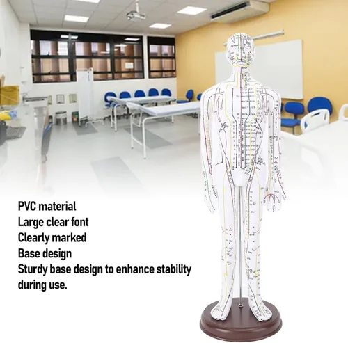 Vista 4 de Modelo de acupuntura de cuerpo humano de 20.5 in, modelo de acupuntura de punto de presión de maniquí de enseñanza de chino masculino/femenino