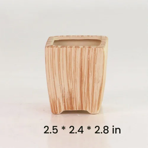 Vista 7 de Conjunto de macetas de 3 pulgadas de cerámica de madera suculenta SUN-E 6In /maceta para cactus