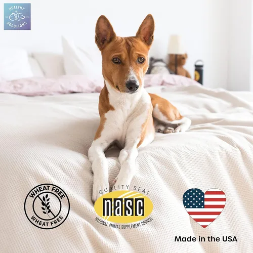 Vista 6 de Disuasorio para perros que comen caca – La coprofagia sin cacaos masticables evita que el perro coma heces – Mastica mejorada con ambientador