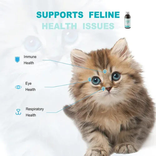 Vista 3 de Suplemento líquido de apoyo inmunológico para gatos, fórmula de L-lisina para gatos, 3.38 onzas L-lisina, astrágalo y vitaminas, apoya la salud