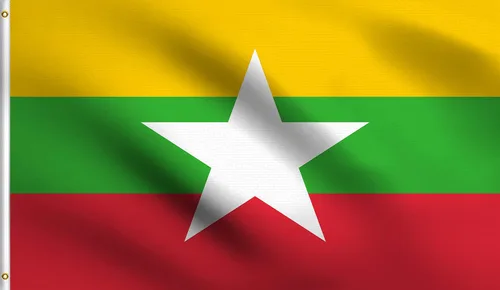 Vista 16 de DMSE - Bandera nacional beninesa beninesa de la República de África Occidental, 2 x 3 pies, 100 % poliéster, 100 % poliéster, resistente a los rayos