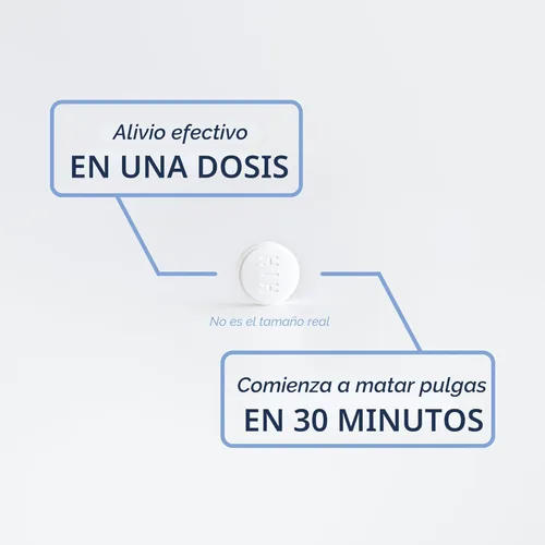 Vista 6 de PetArmor CAPACTION (nitenpiram) Tratamiento oral contra pulgas para perros, tabletas de acción rápida comienzan a matar en 30 minutos, tratamiento