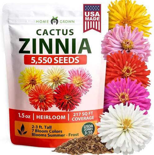 Vista 40 de HOME GROWN Bachelor Button Tall Mix 700+ Semillas de flores Centaurea