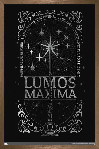 Vista 16 de Trends International The Wizarding World: Harry Potter - Póster de pared Lumos Maxima, 34 pulgadas de largo x 22.4 pulgadas, versión enmarcada