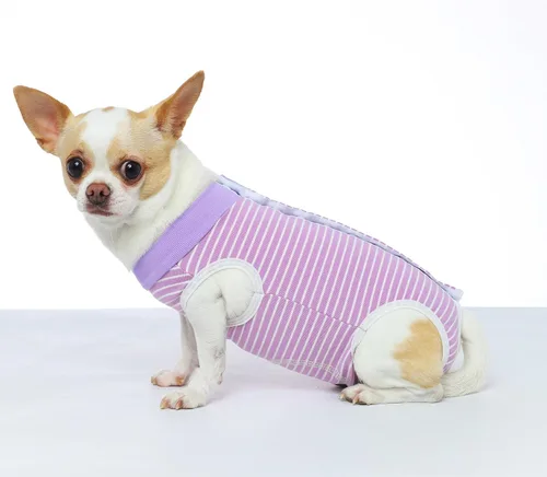 Vista 7 de Traje de recuperación quirúrgica, trajes corporales para perro después de la cirugía, traje de recuperación profesional para perro gato, cómoda