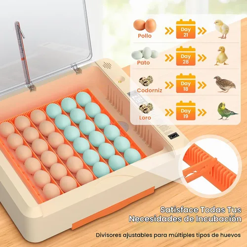 Vista 6 de Incubadora de huevos 36-60 con giro automático de huevos y control de humedad, incubadora de huevos de pollo ajustable con pantalla digital
