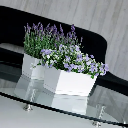 Vista 2 de Prosper Plast Coubi Box Planter, 29 x 14.2 x 13.6 cm, White, 29x14.2x13.6 cm