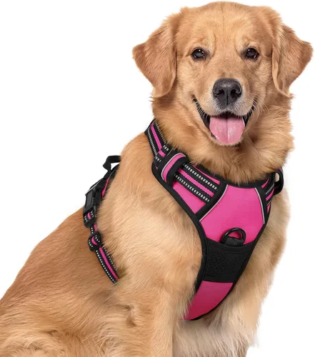 Vista 102 de Rabbitgoo - Arnés para perros sin tirón con 2 clips de correa, chaleco Oxford reflectante acolchado suave ajustable sin estrangulamiento