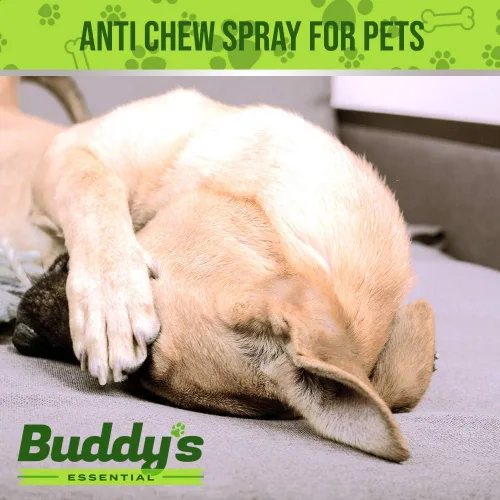 Vista 4 de Buddys Essential - Spray antimasticable para perros y gatos, espray amargo de 16 onzas para cachorros, gatitos, disuasorio de mascotas