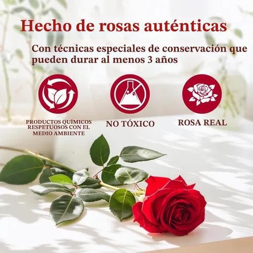 Vista 9 de Caja extra grande con forma de corazón de 16 rosas preservadas para siempre, con collar, regalos para el día de San Valentín para ella, novia