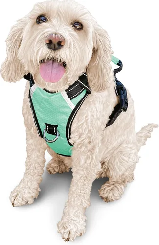 Vista 28 de Arnés antitirones para perro pequeño con 2 hebillas de liberación rápida y mango de fácil control, chaleco suave reflectante sin estrangulamiento