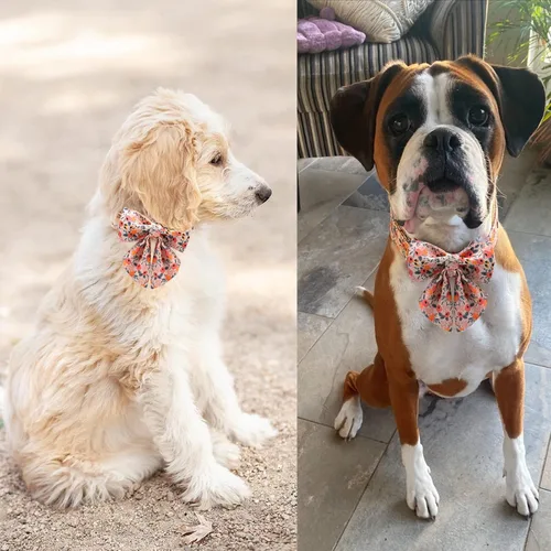 Vista 45 de Unique style paws - Collar para perros con corbatín, collar ajustable para perros y gatos, pequeño, mediano y grande