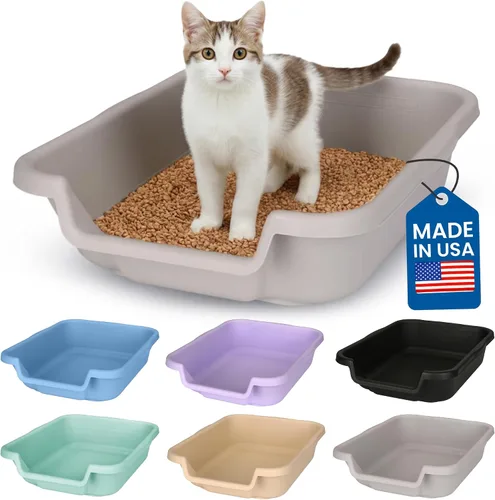 Vista 42 de KittyGoHere - Caja de arena para gatos mayores, sartén pequeña con cuchara jumbo de mango largo, caja de arena para gatos de entrada baja, ligera