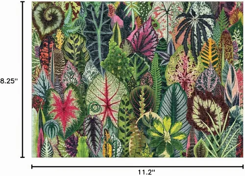 Vista 5 de Galison, Puzzle Planta de interior Selva 1000 Pieza