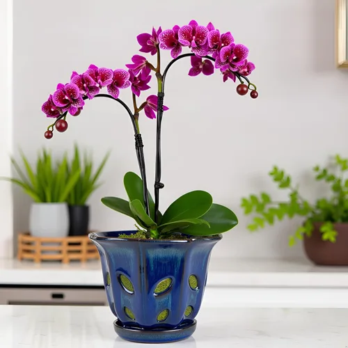 Vista 7 de Ceramic Orchid Pots with Holes 6 inch (Dark Blue)