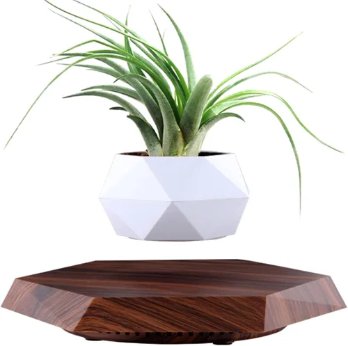 Vista 9 de MOOCCI Maceta levitante flotante, planta en maceta, regalo ideal para el día del padre, compañeros de clase para Halloween, Acción de Gracias