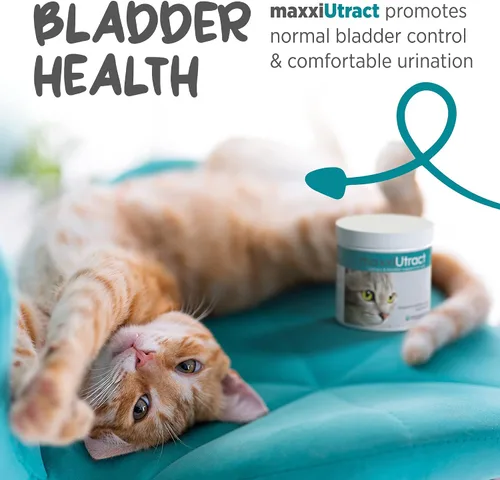 Vista 5 de maxxipaws maxxiUtract Polvo urinario y de vejiga para gatos, D-Manosa, 3.2 oz