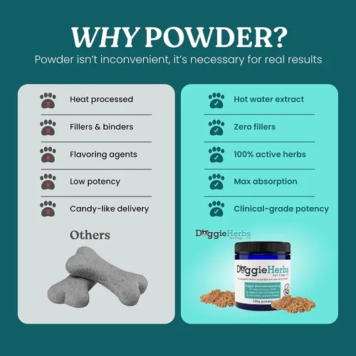Vista 4 de Apoyo antiinflamatorio natural – Mezcla de corydalis, curcumina y cúrcuma de grado clínico – Polvo formulado por médicos TCM para rigidez, dolores