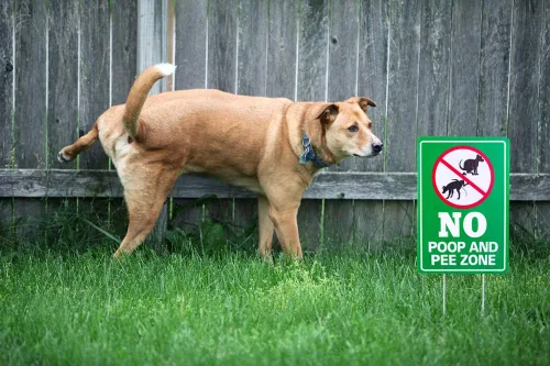 Vista 4 de WaaHome Cartel de perro "No Poop and Pee", 8 x 12 pulgadas, letrero