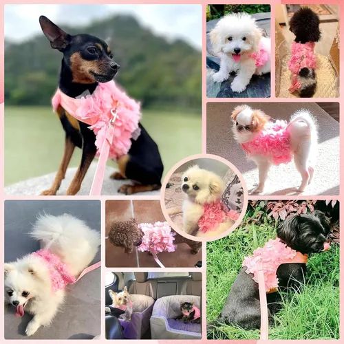 Vista 5 de Lindo arnés y correa para perros pequeños, arnés de encaje rosa floral para cachorros para perros pequeños, gatos, malla suave, chaleco para perro