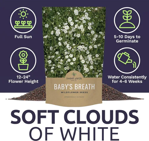 Vista 6 de Semillas de Gypsophila elegans de Baby's Breath vistosas – Bolsa a granel de un cuarto de libra – Más de 80.000 semillas de flores silvestres