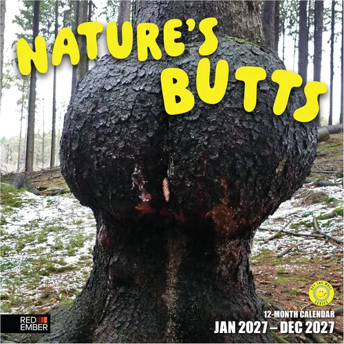 Vista 27 de RED EMBER National Parks - Calendario de pared 2027 de 12 meses 02 - Untamed & Hermosos Parques Nacionales