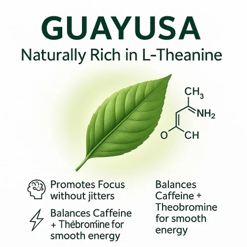 Vista 4 de Bolsas de té Guayusa de PACHA Naturalmente altas en antioxidantes, L-teanina y teobromina Té de hierbas de energía sostenida Alternativa a