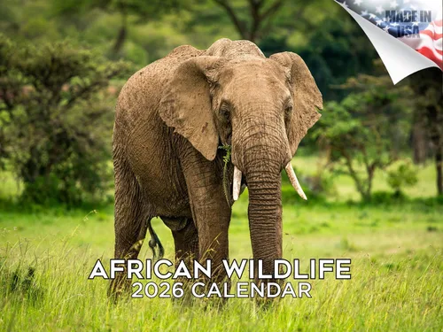 Vista 43 de Calendario de grises africanos 2025 2026 – Planificador mensual de pared de aves africanas – 12 x 18 pulgadas (abierto), calendario de pared
